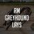 RM Greyhound Lays Review