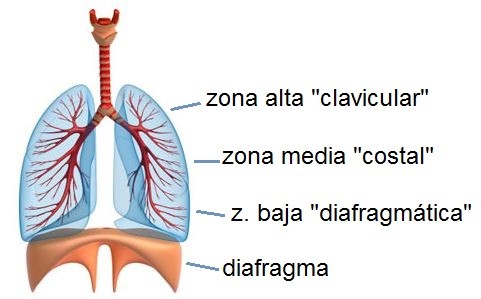 RESPIRAR CONSCIENTEMENTE. TRES TIPOS BÁSICOS DE RESPIRACIÓN