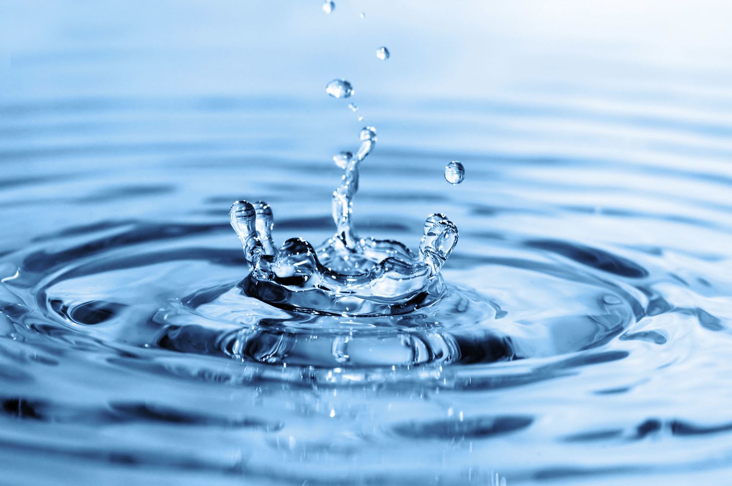 10 fakte interesante për ujin | Revista Vlera