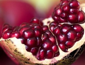 12 Fakte mbi shegën, frutin më shërues në botë