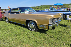 MVIMG_20250501_124846