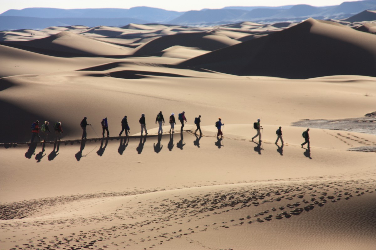walking in sahara, desert walking , desert tours
