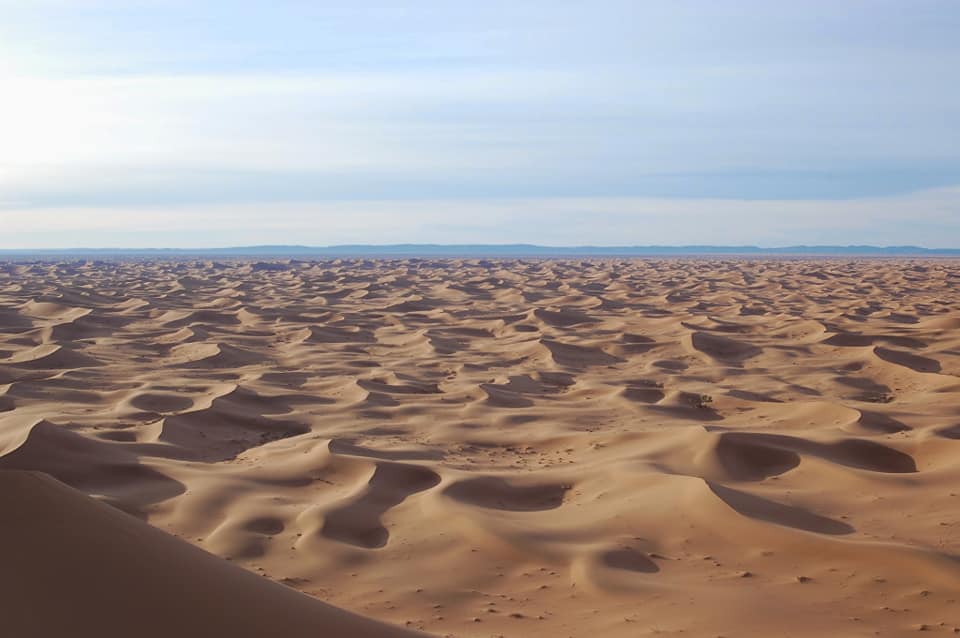  desert tours morocco