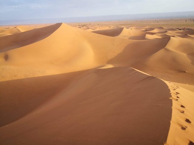 desert Sahara tours
