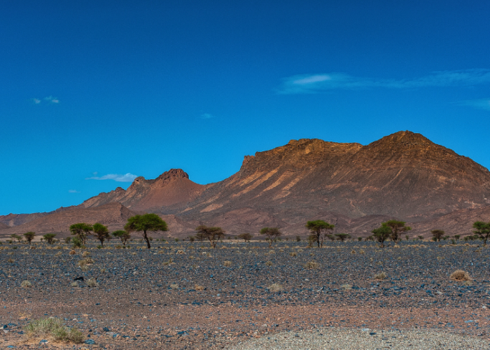 Ait Ouazik's Rock Carvings Near Tazzarine, Zagora Province