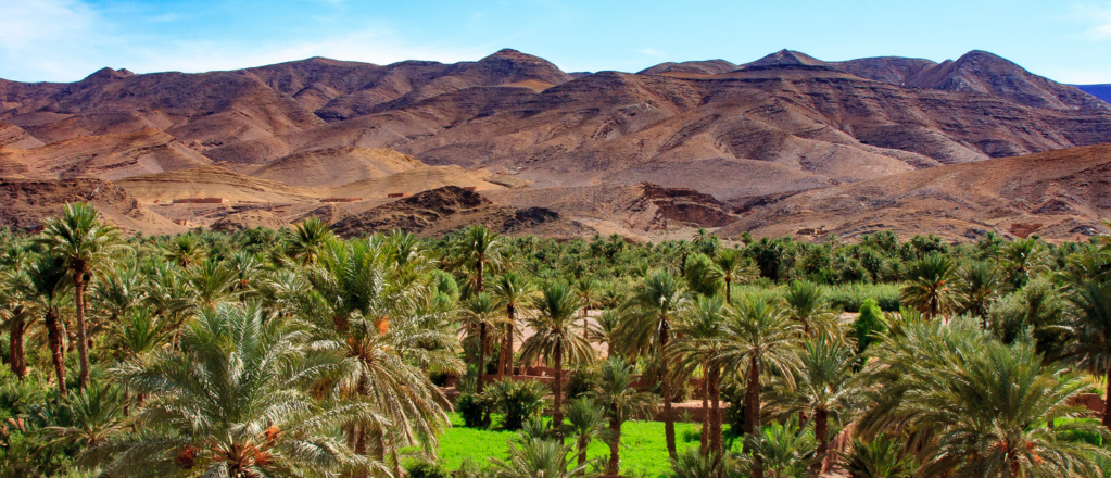 The Valley of the Draa in Morocco