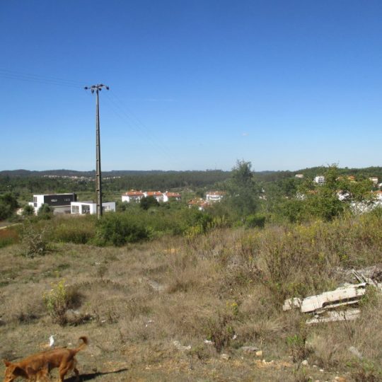 Terrenos Rústicos e Quintas