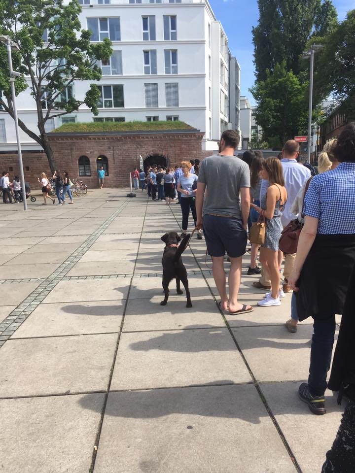 The queue for ice cream!