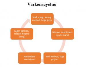 Varkenscyclus en studiekeuze
