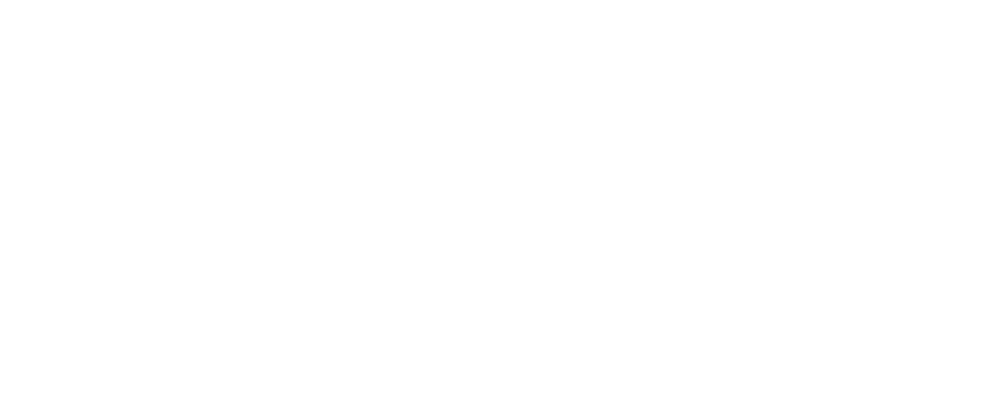 Logo weiss 300