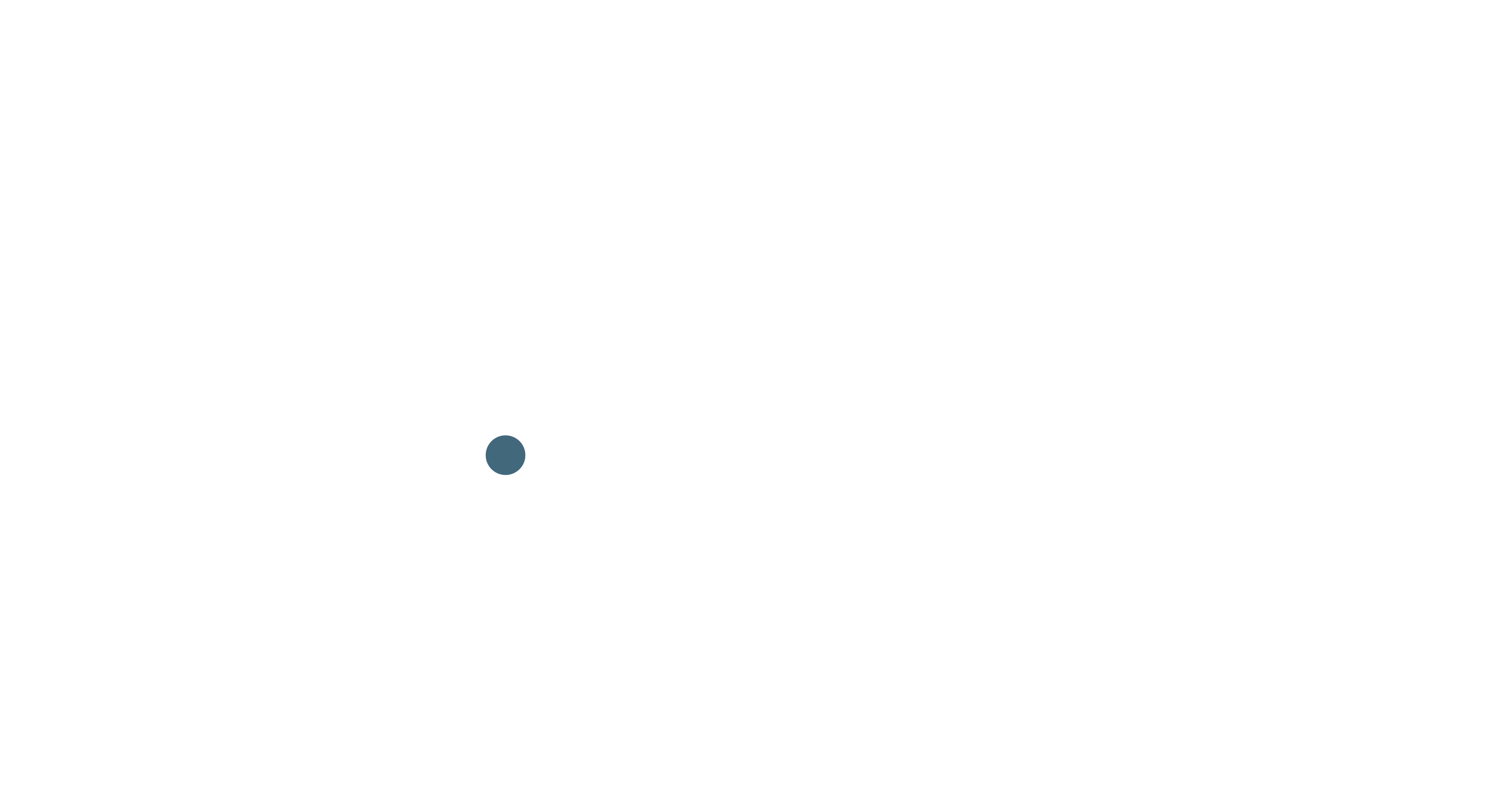 Riedl&Co