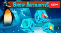 Snow Antarctic Dice