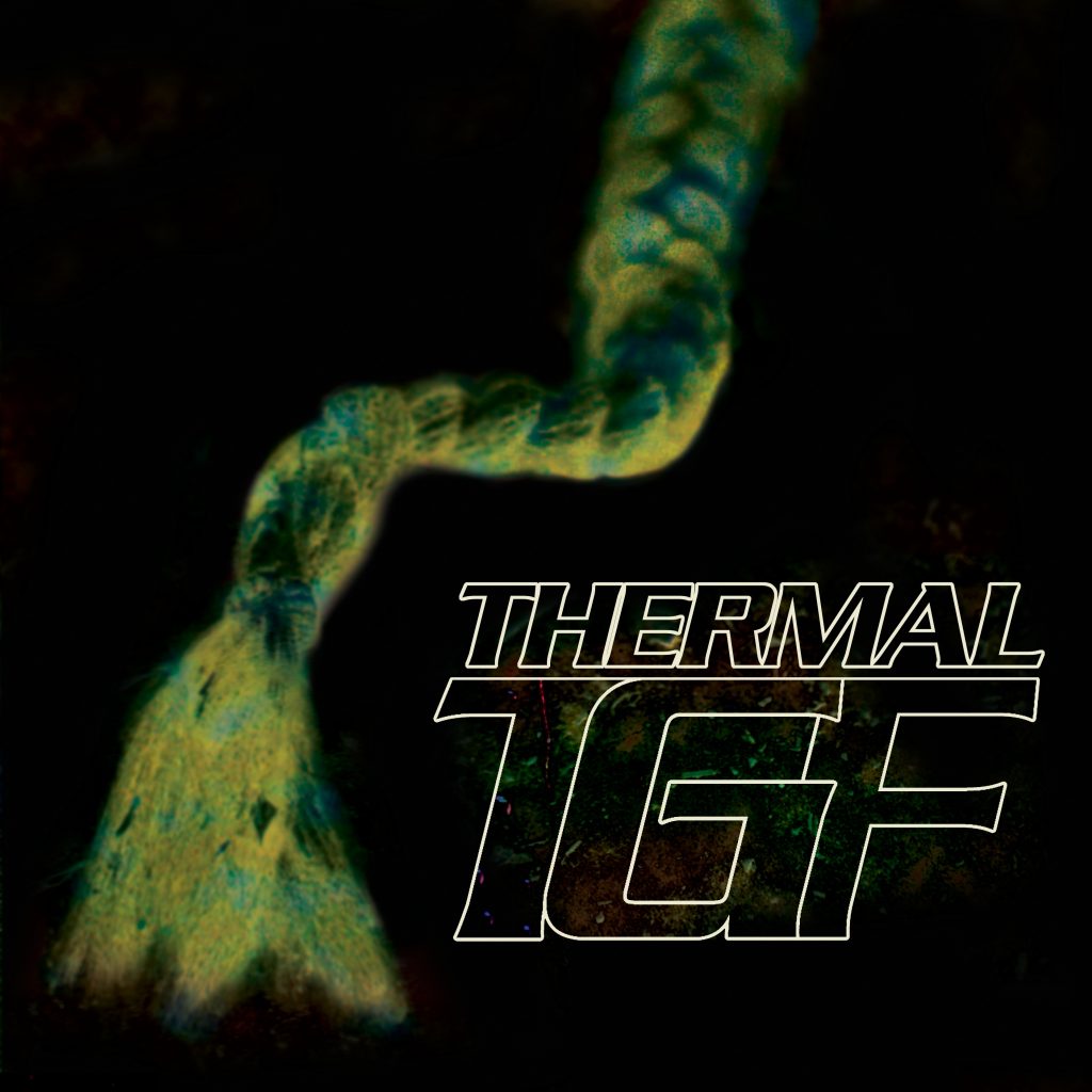 Teengirl_Fantasy_-_Thermal_EP