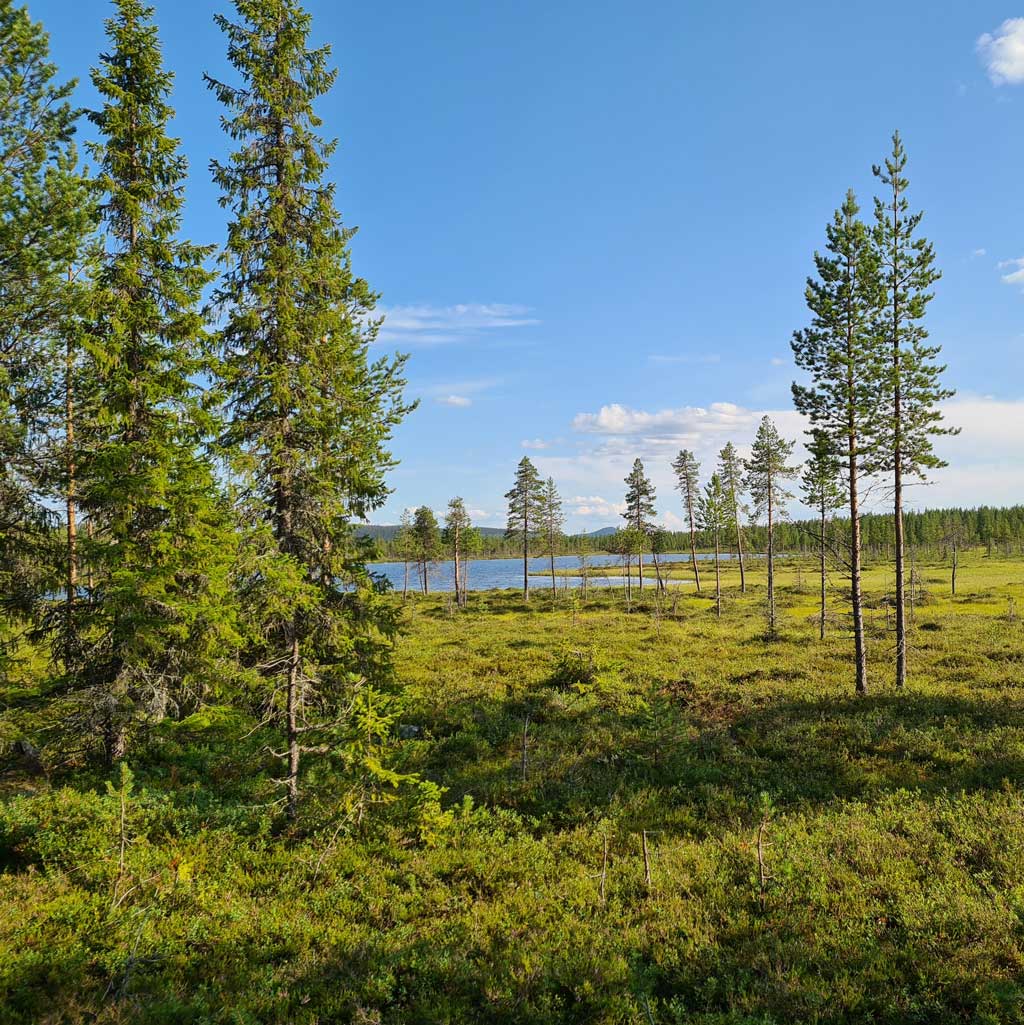 MIljö & natur MIljö & natur