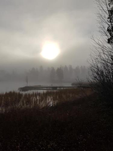 Lenita Tita Nygårdhs Gunhån 01