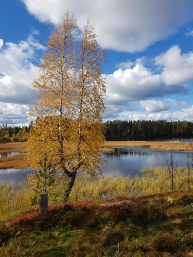 Lenita Tita Nygårdhs Gunhån 03