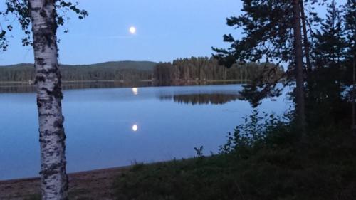 Maria Granlund Gunhån o Ryberget sommaren 2018