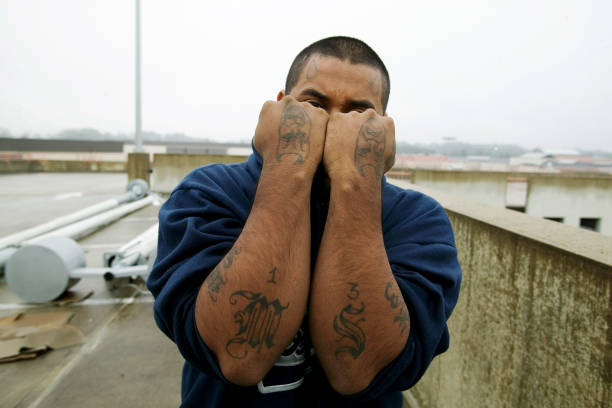 How to Classify MS13: Gang or Terrorist Group?