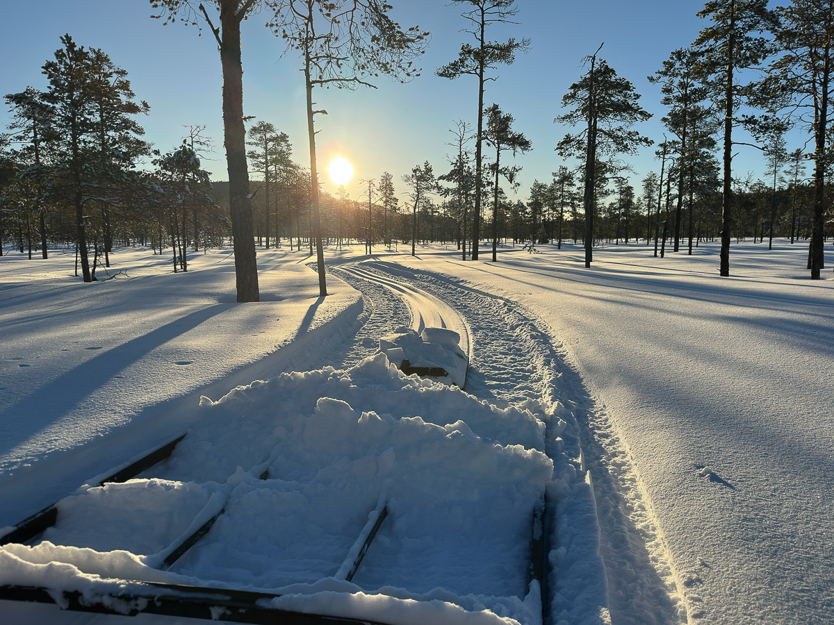 Melodikrysset Rissna mitt i prick!