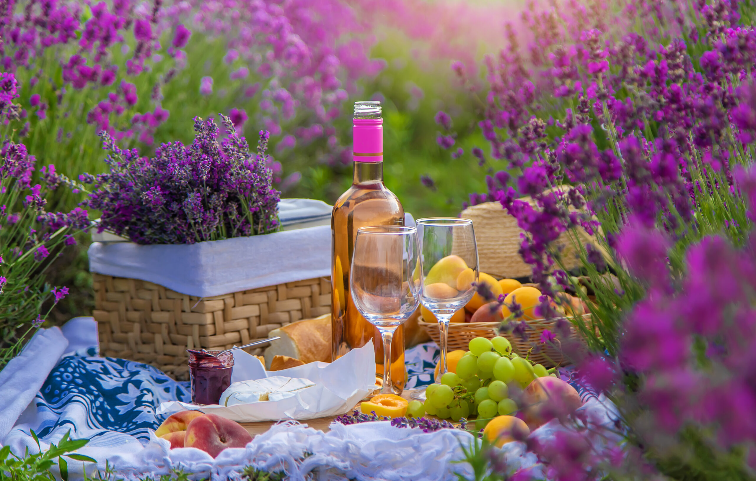 wine in a lavender field selective focus 2022 07 12 13 46 49 utc scaled 1