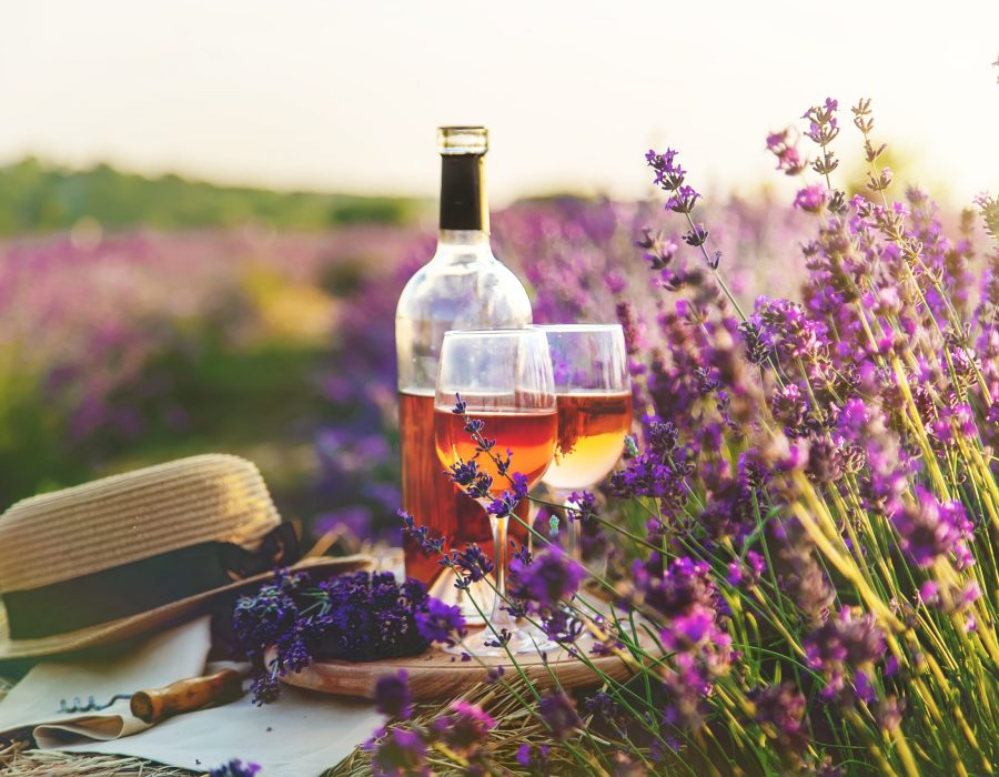Wine in glasses. Picnic in the lavender field. Selective focus. Nature.