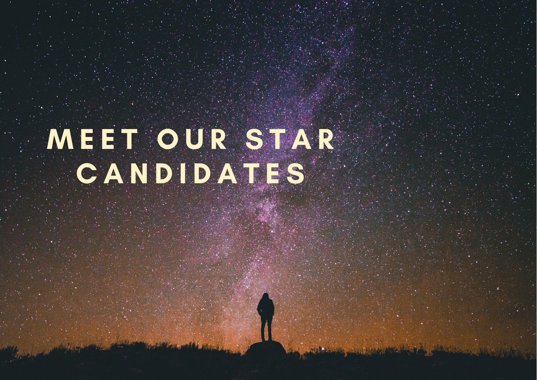 Meet our star candidates