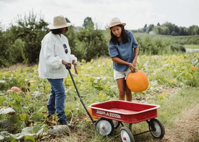 Volunteer Abroad - Farm experience Australia - Roast Jobs