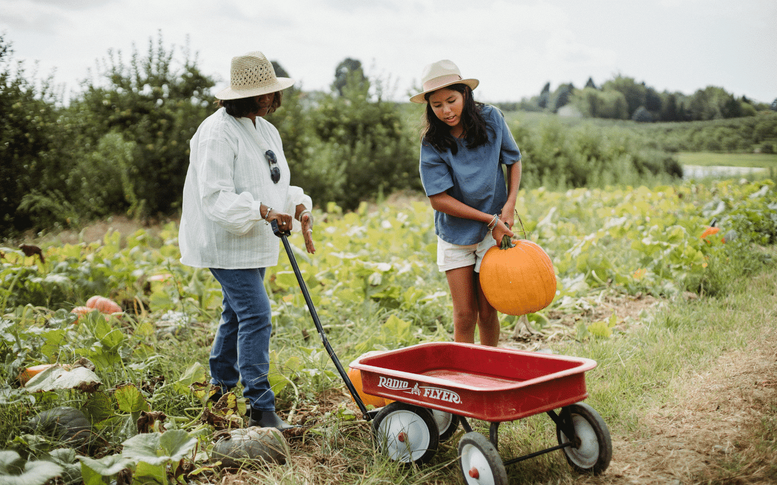 Volunteer Abroad - Farm experience Australia - Roast Jobs