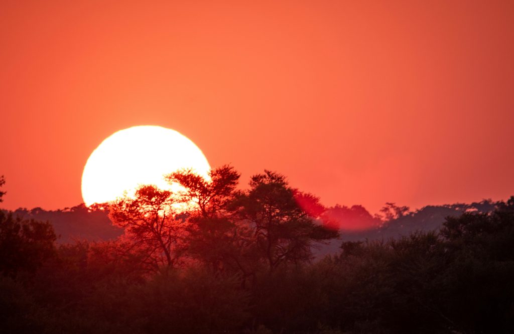Volunteering Abroad| Work and Travel Program in South Africa