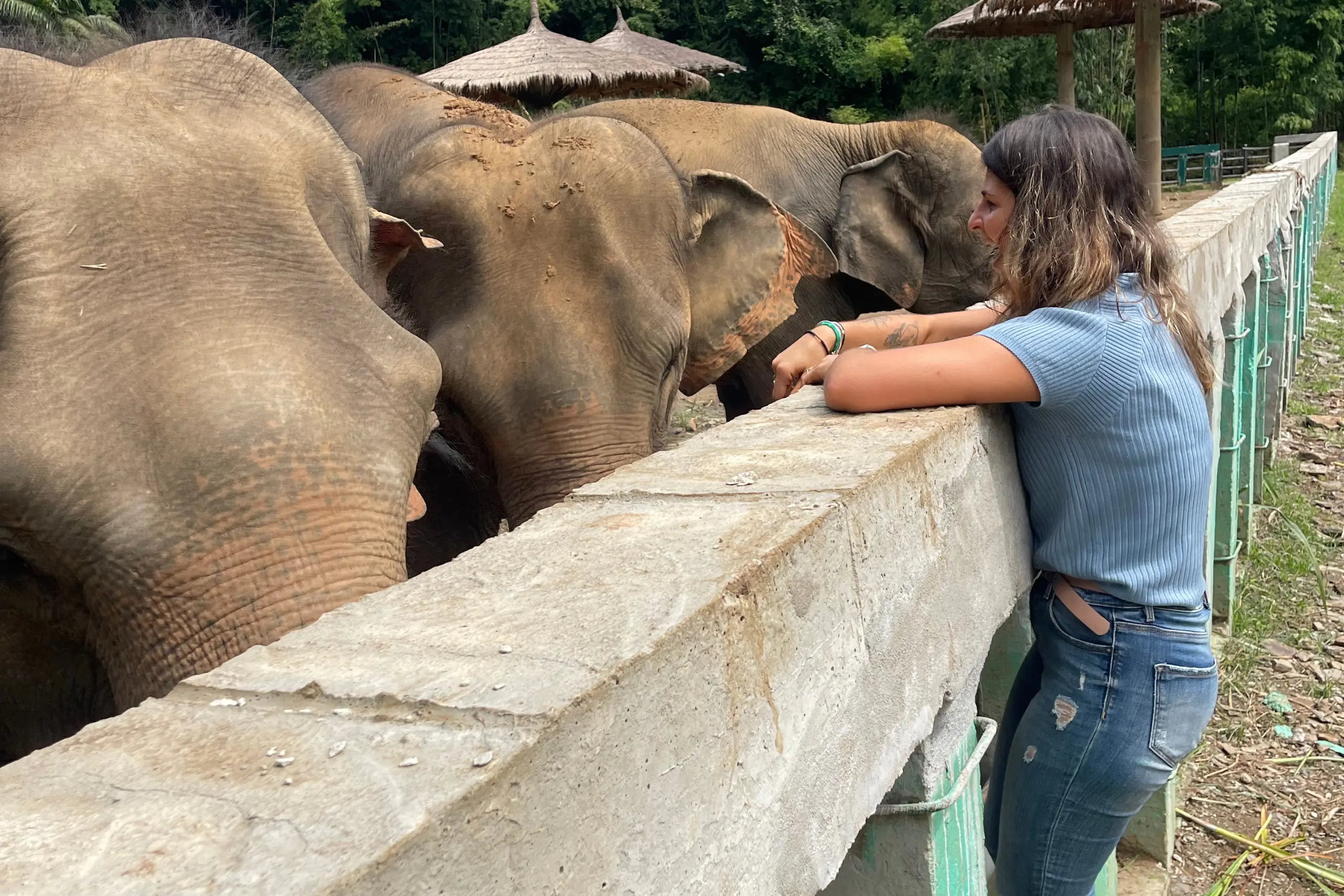 volunteer abroad: volunteer program in Thailand