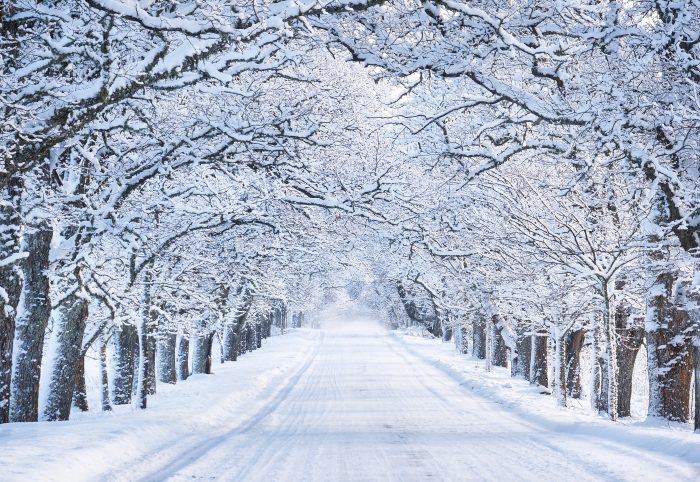 Alley in snowy morning