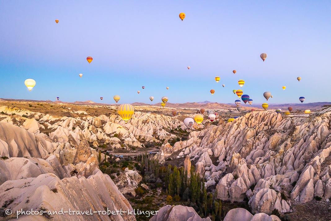 Heißluftballone über dem Rose Valley in Kappadokien in der Türkei