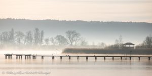 Foto von einem Steg im Ammersee bei Diessen im Morgennebel