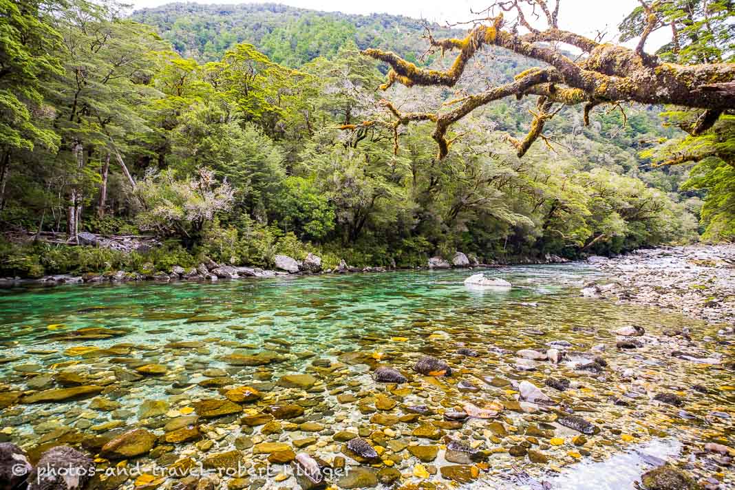 Der Clinton River am Milford Track in Neuseeland