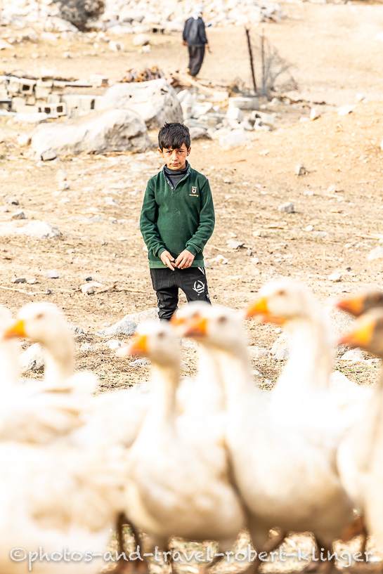 Ein irakischer Junge hütet Gänse in einem Dorf in Kurdistan am Dukan See