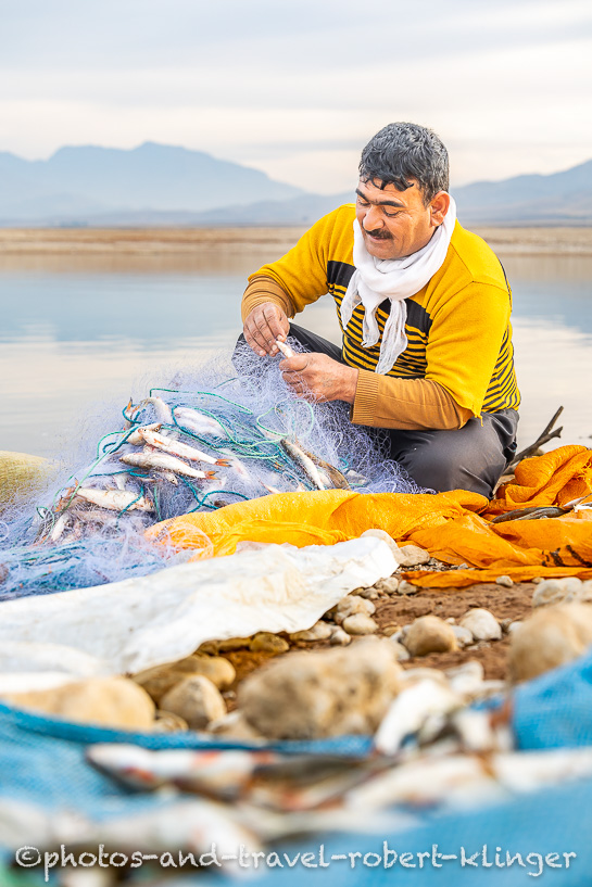 Ein irakischer Fischer holt Fische aus seinem Netz, Dukansee, Kurdistan, Irak