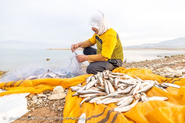 Querformat: Ein irakischer Fischer holt Fische aus seinem Netz, Dukansee, Kurdistan, Irak
