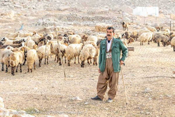 Ein kurdischer Landwirt mit seinen Ziegen im Irak