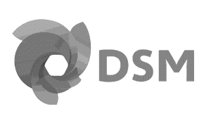 Logo: DSM Innovation Center