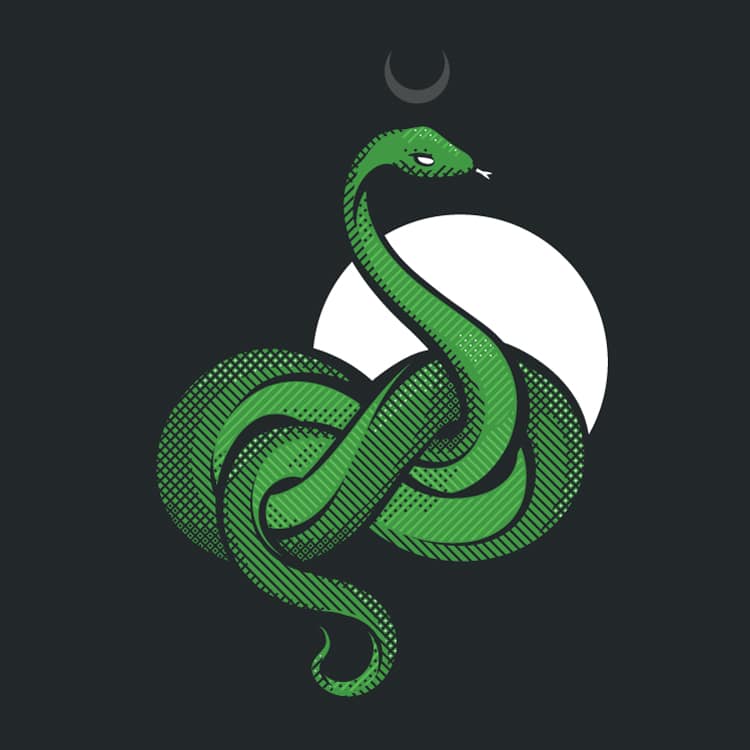 An Illustration of a snake