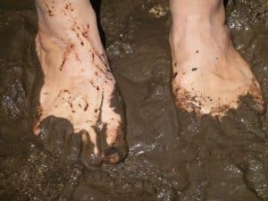 feet in a swamp metaphor - before using the priority matrix