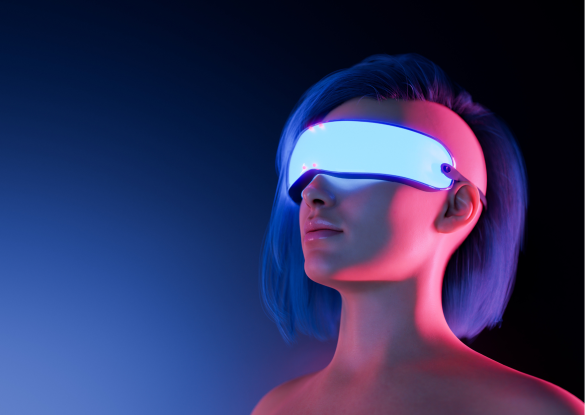 RP1 virtuele wereld