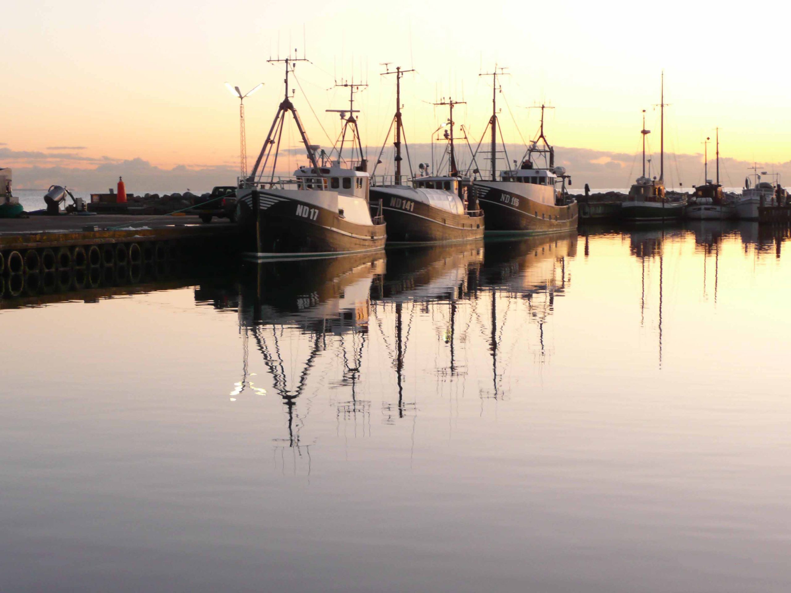Rødvig Havn — photo 3