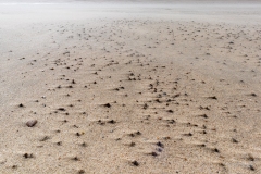 Strand Groede