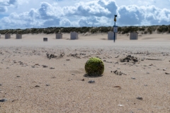 Strand Groede