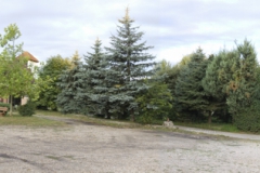 20100724_053935_panorama