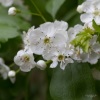 20120515_122230Canon-EOS-7D