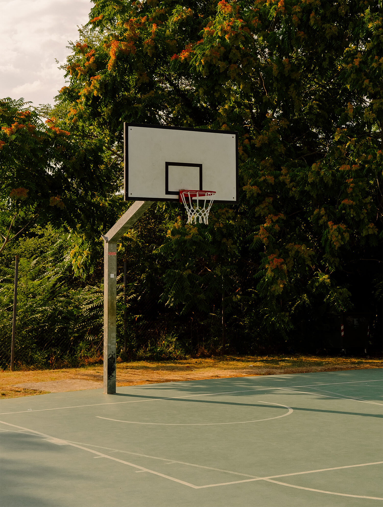 Basketball