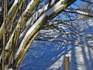 Hauset, Ostbelgien, im Winter