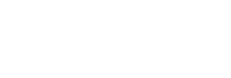 Romy Irene